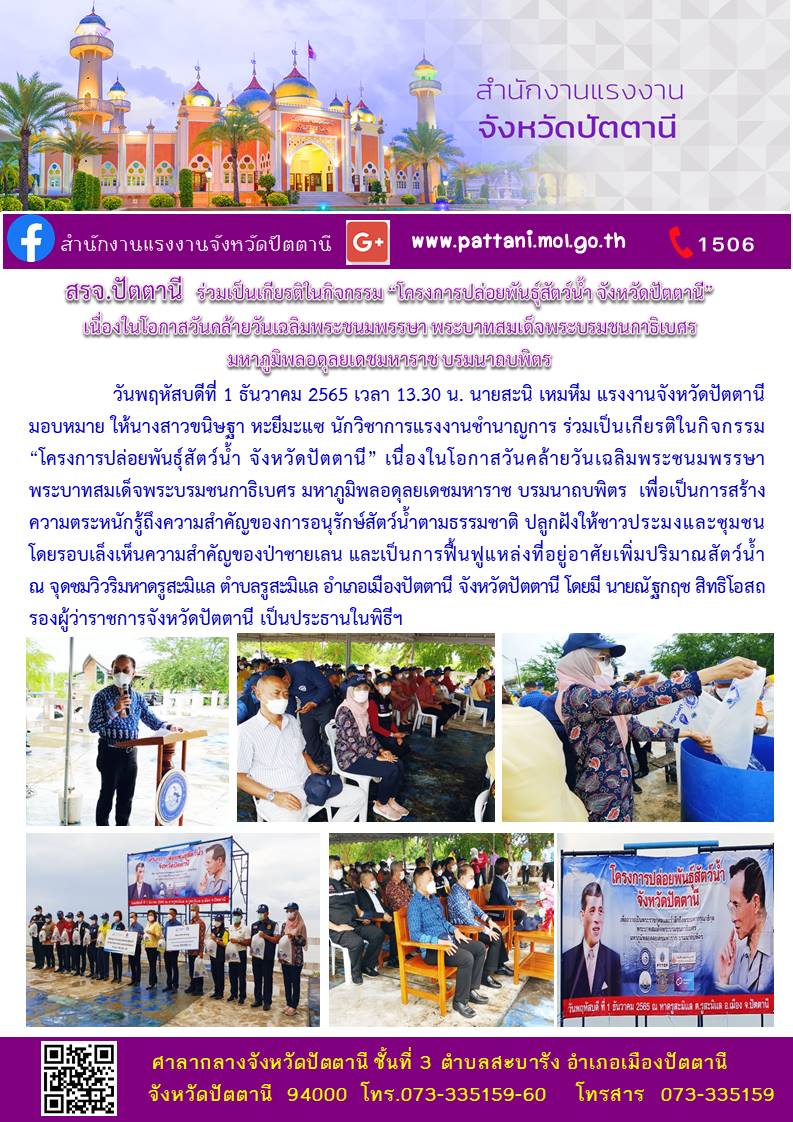 Mol-Thailand
